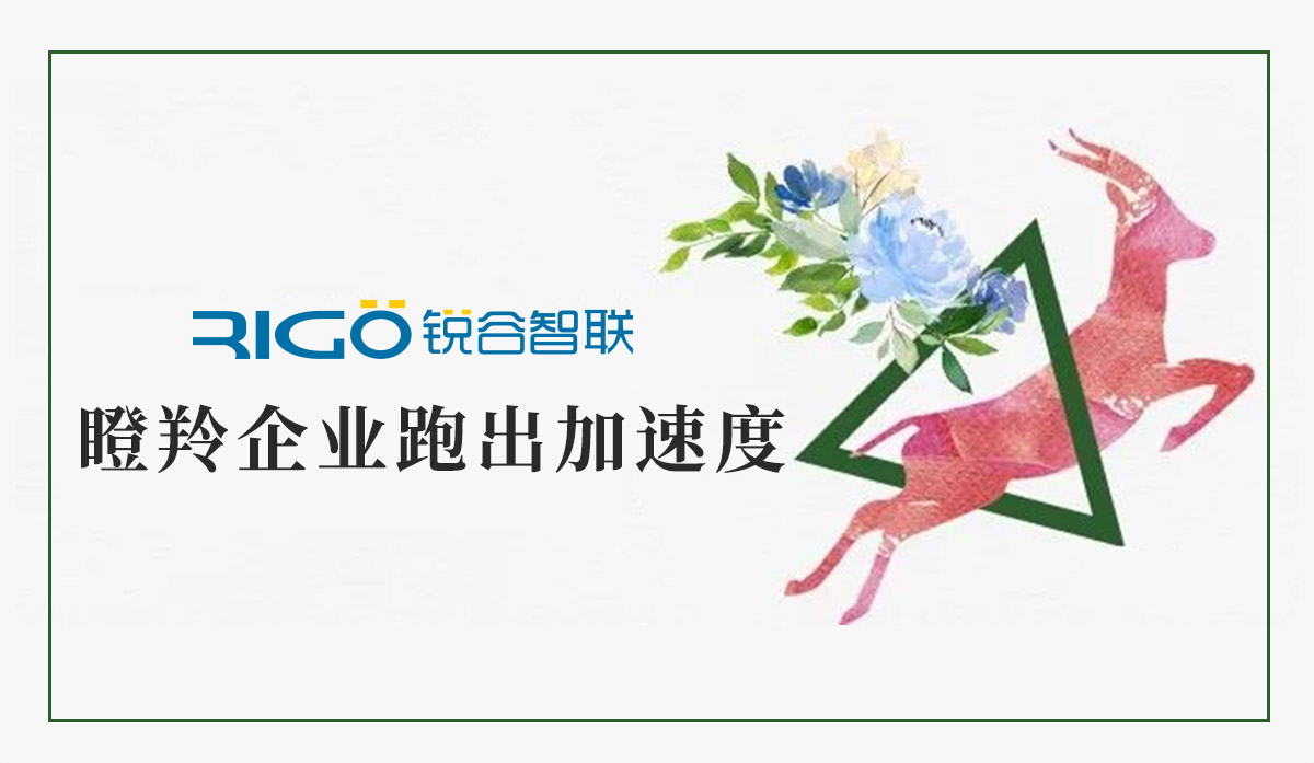 火炬高新區(qū)助力“瞪羚”企業(yè)跑出加速度，超半數(shù)分布廈門軟件園